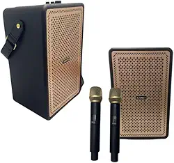 Caixa de Som Karaokê Bluetooth sem Fio com 2 Microfones, 100W PMPO, Bateria Recarregável, Luzes LED, Rádio FM, USB, Cartão SD, Portátil (Preto)