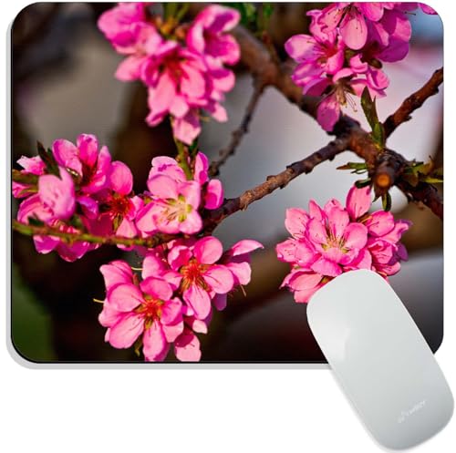 Image of Mouse Pad Pink Blossoms, Premium-Textured Custom Mouse Mat Design, Washable Mousepad Lycra Cloth, Non-Slip Rubber Base Computer Mouse Pads for Wireless Mouse