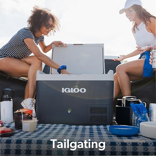 Igloo ICF 18 Electric Cooler - image 5
