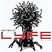 Tree Of Lyfe