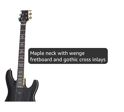 Amazon.com: Schecter 3661 Solid-Body Electric Guitar, Aged Black