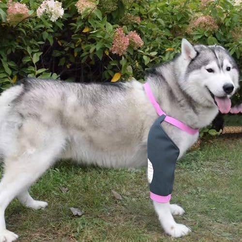 Image of Dog Elbow Pads Knee Protector Wraps Elbow Callus Treatment Sleeve for Wounds Front Legs Stop Licking Medium Large Dogs L, Grey