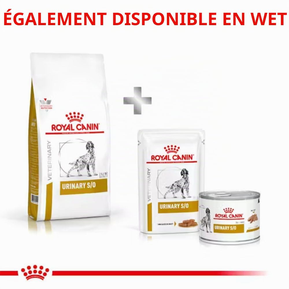 Royal Canin pour Chien Chien 13 kg