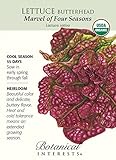 Marvel of the Four Seasons Organic Lettuce Seeds-750 mg