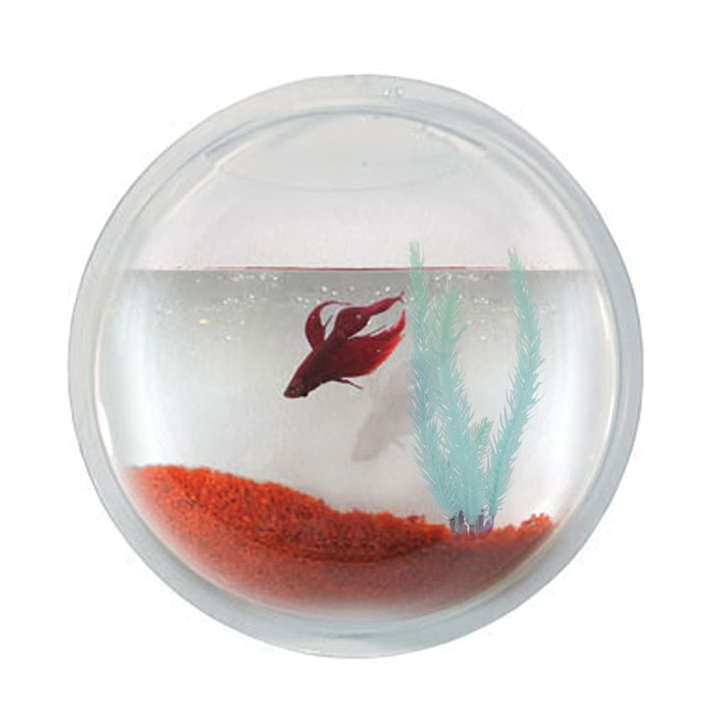 Wall Hanging Fish Bowl Acrylic with Free Stones- 8 inches Medium Size, Rust Resistant (B09B62PKMW) Amazon Price History, Amazon Price Tracker