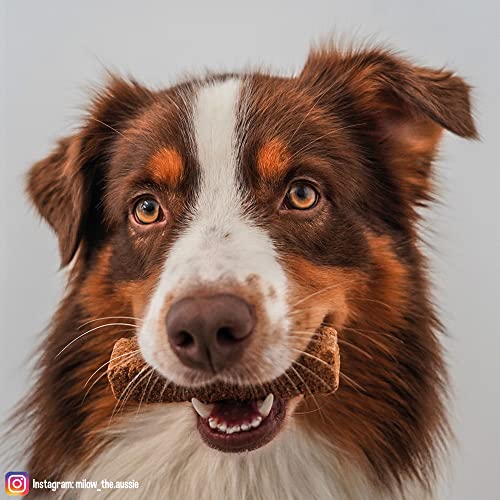 Schecker Hundeleckerli - Hundebrot - die ideale Zahnbürste für Ihren Hund - 5 kg