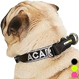 Collar de Perro para no ahogar su Cuello. Tiene una Parte rígida bajo el agarrador y 2 Puntos de Enganche. Esto Hace Que el Collar no se estreche Tanto. (Negro, S)