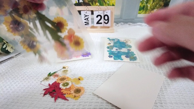 110 Piezas Flores Secas Prensadas para Resina con Pinzas y Caja miniatura 7