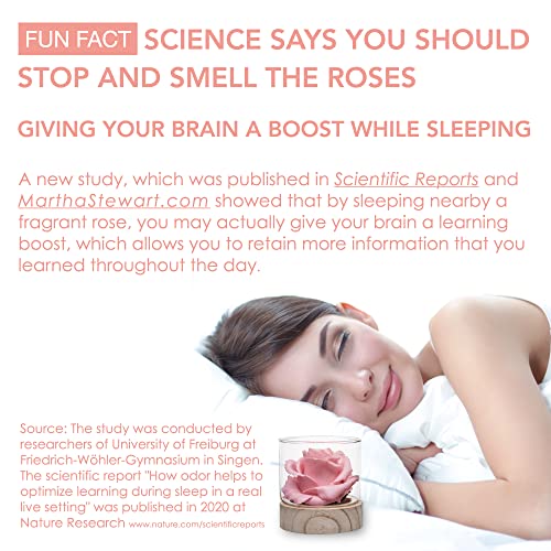 Home Scent 12Oz | Fragrant Fresh Cut Flowers Hydrated To Last 4 Months | Roses For Delivery Mothers Day | Birthday Gifts For Mom | Potpourri Alternative ( Pink | Scent : Fruity Floral #TOP7