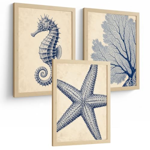 Láminas de Azul Costero con Caballito de Mar, Coral y Estrella de Mar