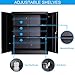 LUCYPAL Metal Storage Cabinet with Locking Doors, Metal Cabinet with 2 Adjustable Shelves,Multifunctional Cabinet for Home Office,Black