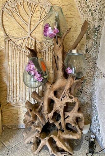 Original Little Big Horn Gigante Design Vase Burl Wood Glass Vase Unique Glass Vase Gigante Root Glass Vase