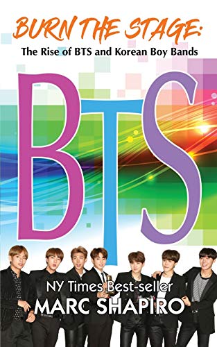 Télécharger Burn the Stage: The Rise of BTS and Korean Boy Bands PDF