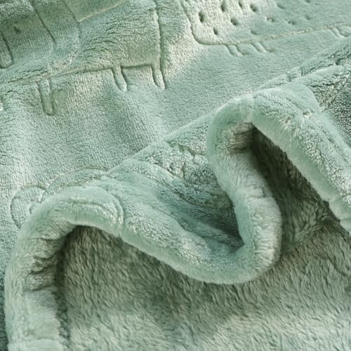 Image of BORITAR Baby Blanket for Boys Girls Ultra Soft Fleece Warm and Lightweight Animal Blankets for Infant Toddler Newborn, 30x40 Inch, Sage Green