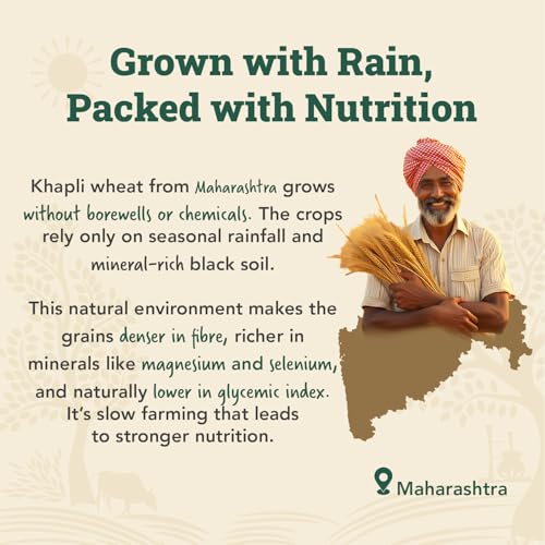 Image of Anveshan Cold-Pressed Khapli Atta | 100% Emmer Wheat | Low GI, High Fiber, Stone-Ground Flour | High Dietary Fiber for Easy Digestion | (1 kg)