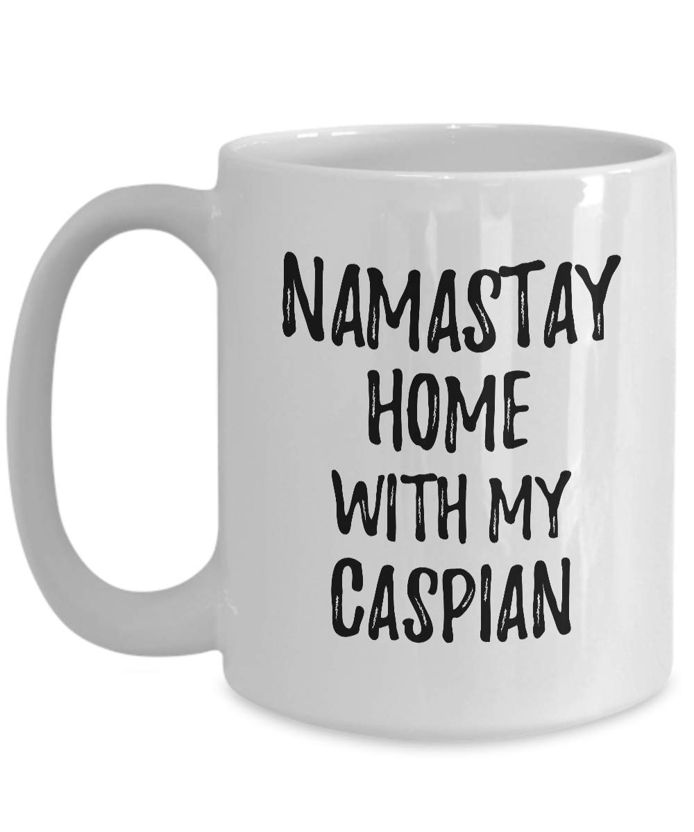 Caspian Mug Namastay Home With My Today Funny Gift Idea Pet Lover Zen Coffee Tea Cup Large 15 oz
