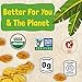 Barnana - Organic Plantain Chips, Himalayan Pink Salt, Healthy Snack Made With 100% Coconut Oil, Non-GMO, Potato Chip Alternative, Zero Sugar, Paleo, Grain-Free, USDA Organic, Vegan (2 oz, 6-Pack)