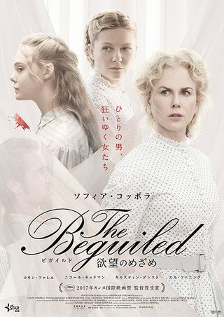 Amazon.co.jp: 【映画パンフレット】The Beguiled
