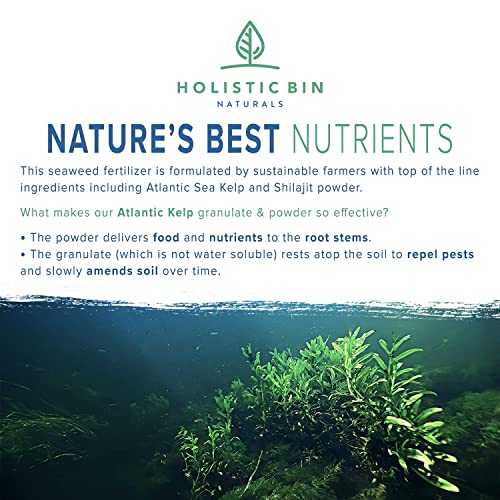 Holistic Bin Kelp Fertilizer All Natural, Vegan Seaweed Fertilizer