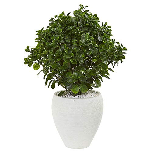 Plantes en soie Vert sans arrosage avec structure métal solide