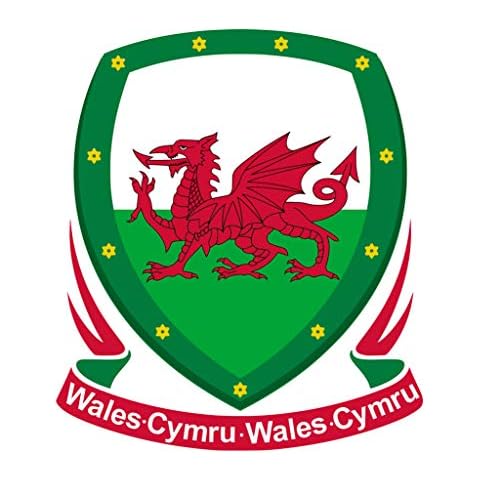 TENNER.LONDON Set of 5 Welsh Team Crest Iron on Screen print Fabric Applique machine washable transfer Wales Crest Cover