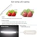 Lámpara de mesa LED y luz de clip, batería recargable de 2000...