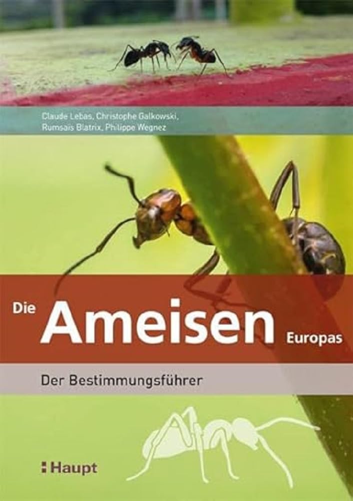Die Ameisen Europas: Der Bestimmungsfuehrer