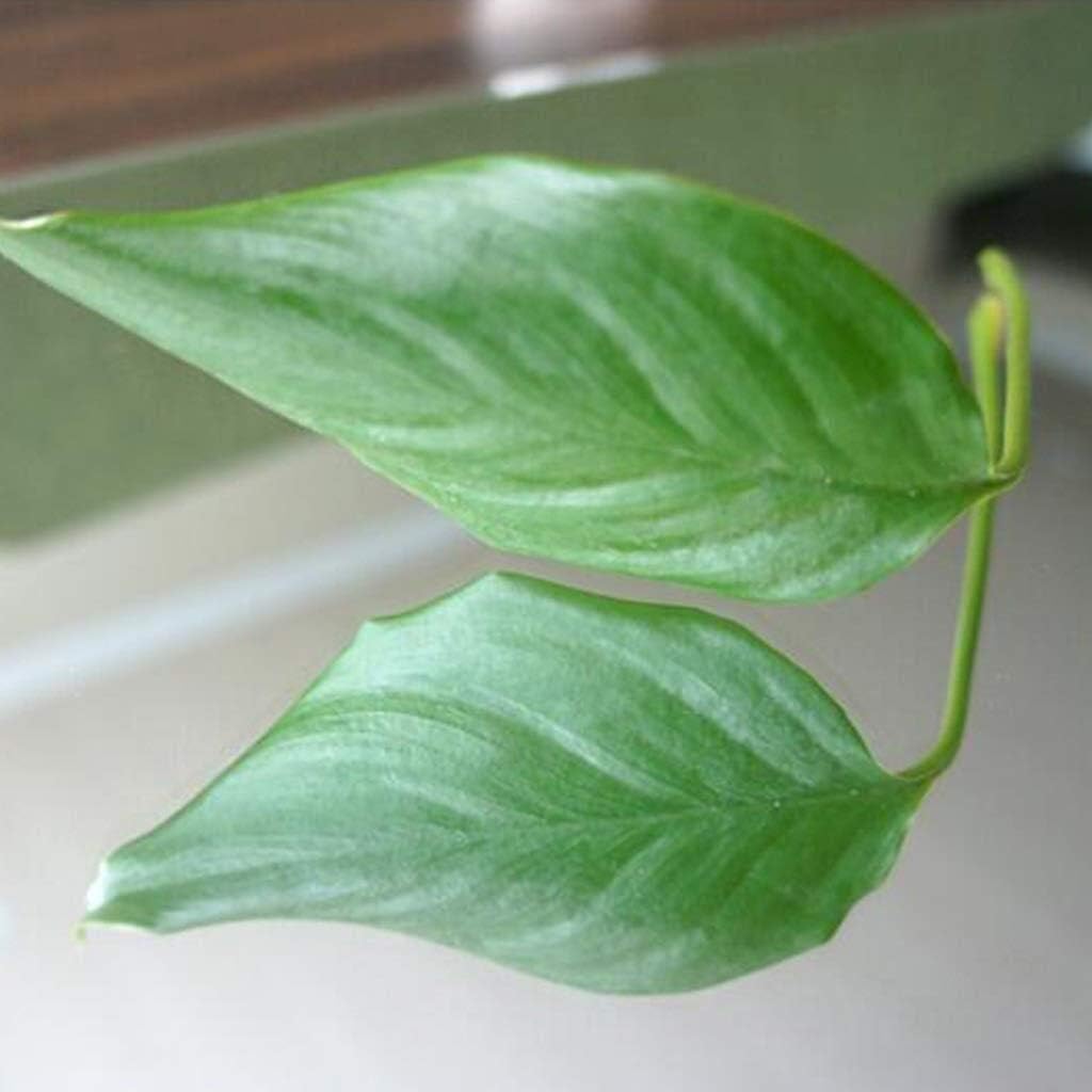 Full-Length Mirror Wall Hanging Mirror Dual-use Fitting Mirror DIY Stitching Paste European-Style Long Mirror Floor Mirror 4 Pack Set 11.8inX11.8in AN1021 910