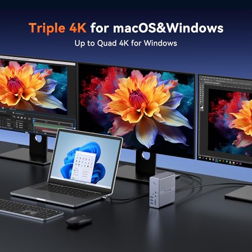 Thunderbolt 4 Docking Station Dual Monitor