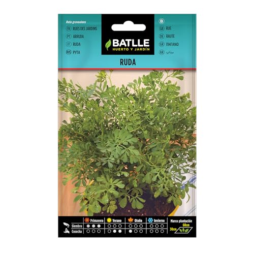 Semillas Batlle Ruda - Ruta graveolens