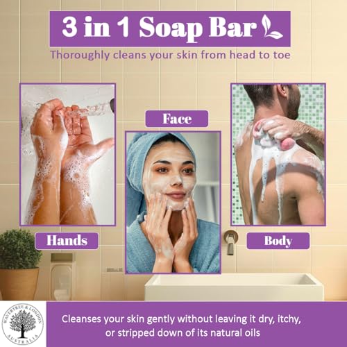 Wavertree-London-Lavender-Scented-Natural-Soap-2-Bars-7oz-Moisturizing-French-Triple-Milled-Soap-Bars-enriched-with-shea-butter-Pure-Plant-Oil-Bath-Body-Soap-for-All-Skin-Types Wavertree London Lavender Scented Natural Soap 2 Bars 7oz Moisturizing French Triple Milled Soap Bars enriched with shea butter Pure Plant Oil Bath Body Soap for All Skin Types
