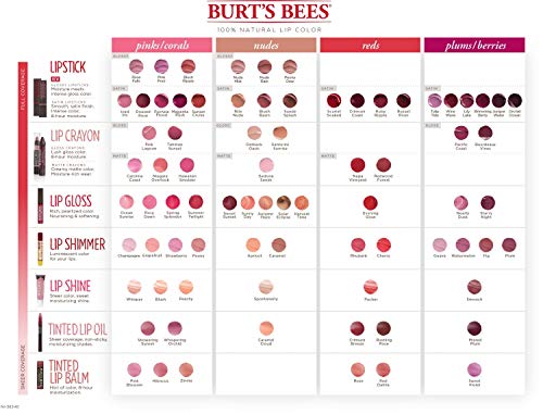 Burts-Bees-100-Natural-Moisturizing-Tinted-Lip-Oil-Showering-Sunset-1-Pen-004-Fl-Oz Burt's Bees 100 % Natural Moisturizing Tinted Lip Oil, Showering Sunset - 1 Pen, 0.04 Fl Oz