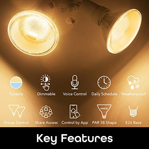 Geeni Lux Smart Floodlight, White – Outdoor 2700K-6500K Dimmable Led Bulb, E26, Par38, 11W, 1000 Lumens – No Hub Needed - Compatible With Alexa, Google Home, Requires 2.4 Ghz Wifi, 2 Pack #TOP1