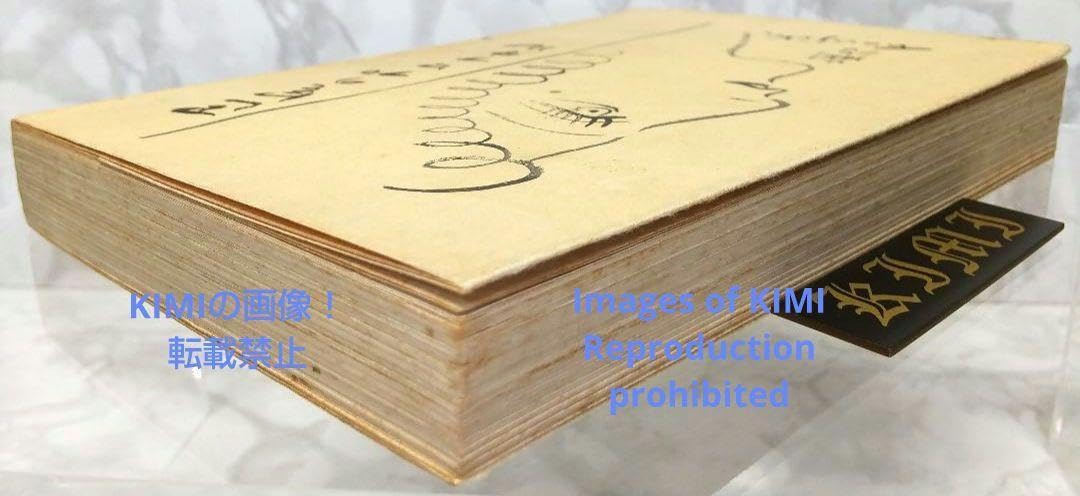 昭4年初版】『巴里の横顔 プロフヰル』 藤田嗣治 著 実業之日本社 1929