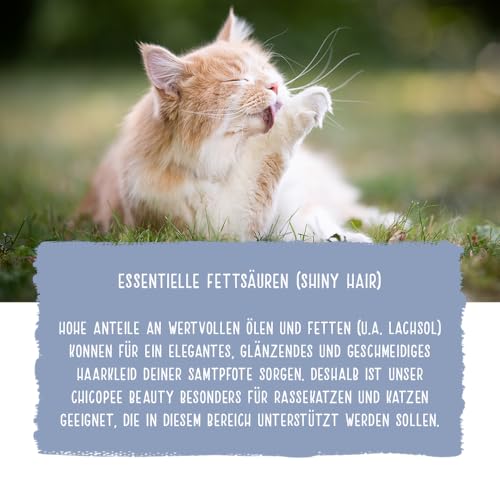 Chicopee Classic Nature Line | Adult Beauty | Katzenfutter trocken | Lachs & Geflügel | Haut & Fell, Omega-Fettsäuren, Vitamine | ohne Weizen | Inspiriert von der Natur Kanadas | 1,5 kg