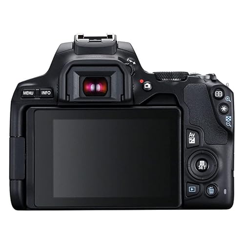 Canon EOS 250D 24.1MP 6000 x 4000 Pixels CMOS 4K Ultra HD Touch Screen Digital Camera - Black Body Kit and EF-S 18-55IS STM