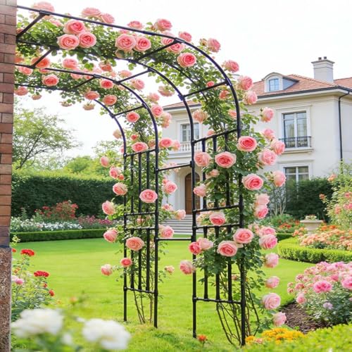Treillis résistant aux intempéries pour arche de jardin murale L 60