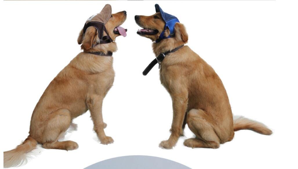 YJZQ Visière Chien Casquette de Baseball Réglable avec Trous d'Oreille - Chapeau Soleil Maille Respirant pour Grande Taille L Bleu Café