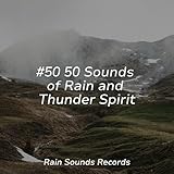 Rain Sounds Records
