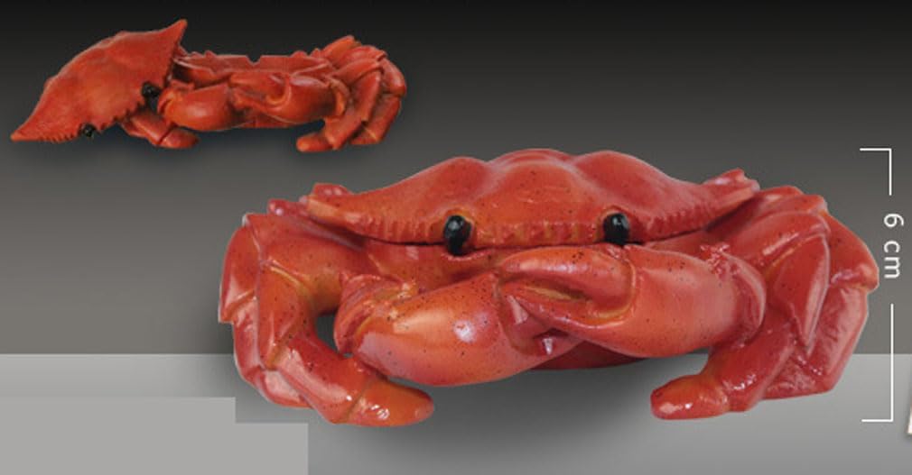Funny Crab Ashtray - Outdoor & Indoor Cute Cigarette Ashtray for Home, Office, Porch & Patio Decorations image 3