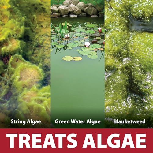 The Pond Guy Instafix Algae Control, Outdoor Water Garden, Fountain & Birdbath Algae Solution, Epa Registered Liquid Algaecide thumb #2