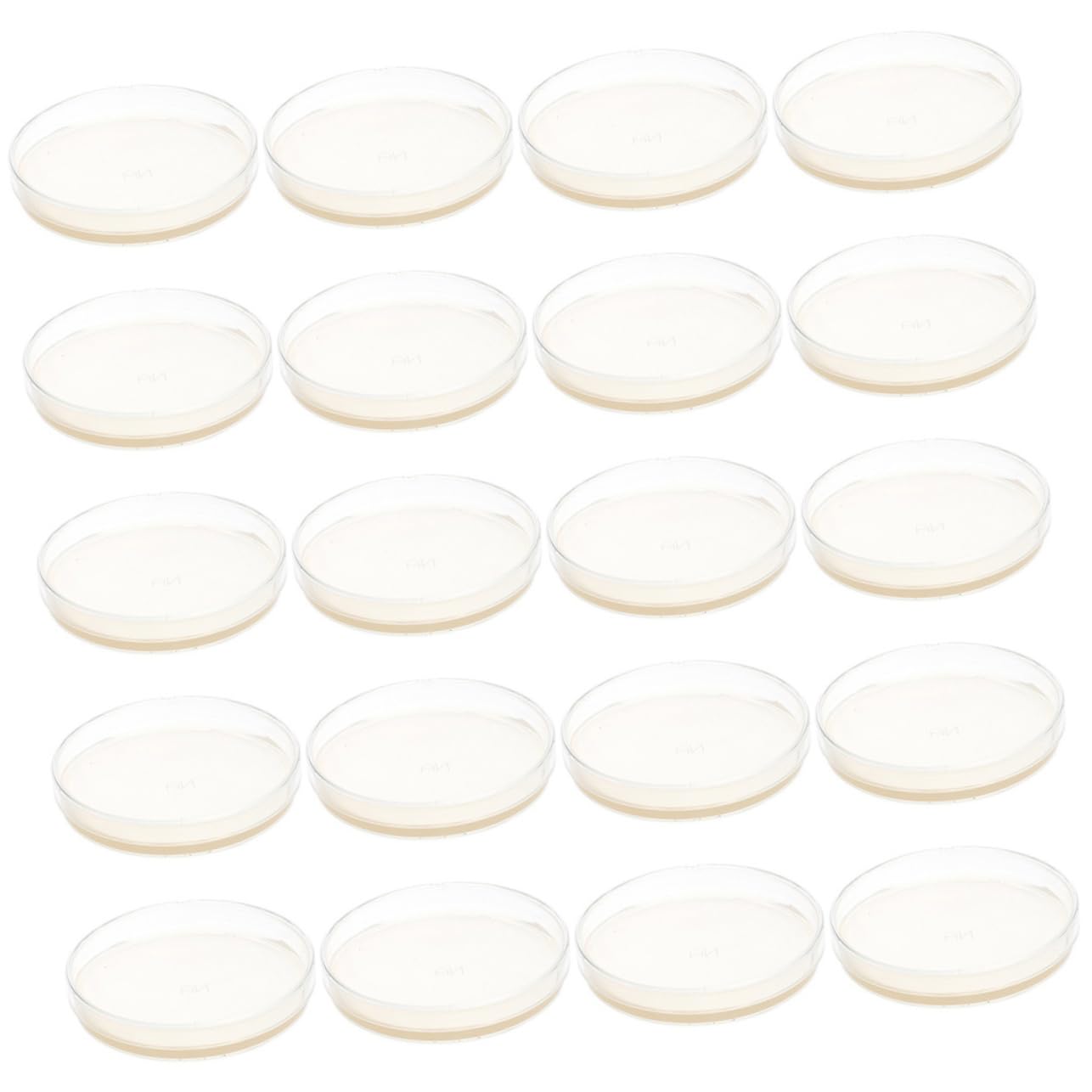 Cabilock Placas de Petri de 7cm con Agar Nutritivo Prevertido 20 Fácil de Transportar y Listas para Usar para Experimentos Científicos en Escuela