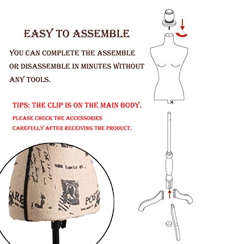 Female Mannequin Torso Dress Form Black Tripod Stand Monogram Style