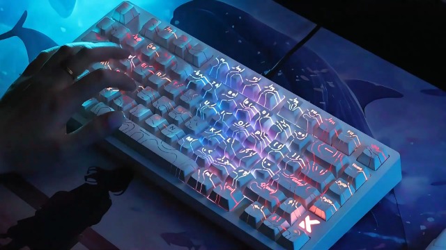 Amazon.com: JOMKIZ MCHOSE Jet 75 Wired Magnetic Switch Mechanical