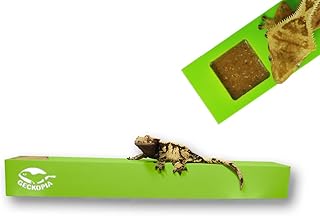 GECKOPIA Reptile Flex Bridge | Reptile Bridge | Gecko Bridge | Gecko Ledge | Reptile Vine | Reptile Terrarium Decoration | Reptile Branch Alternative (Green)