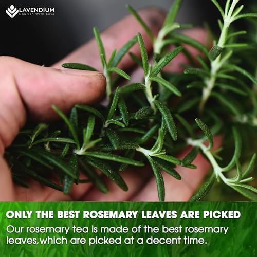 Image of Lavendium, 20 Rosemary Leaf Tea Bags, Made of 100% Natural Rosemary Dried Leaves, Rosemary Herbal Tea, No Additives, No Caffeine, No Gluten, Vegan.