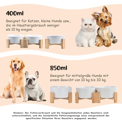 SPUNKYJUNKY 15° Kippbare Keramik Hundenapf mit Holzständer Futter und Wassernapf rutschfest für Hunde und Katzen mit Flachen Gesichtern Kleinen und Mittelgroßen Hunden (400ml × 2, Weiß)