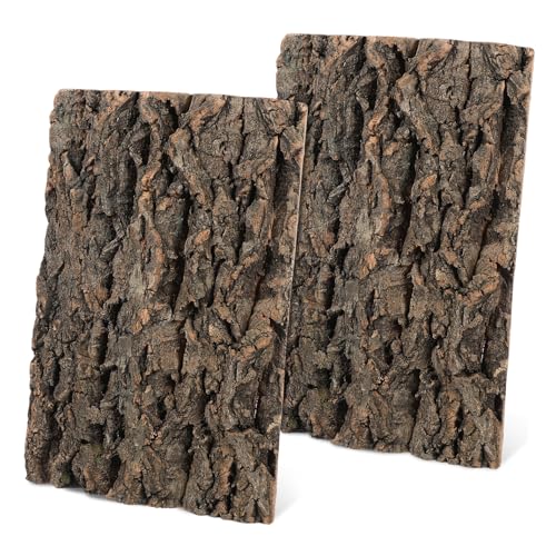 CORHAD 2 VR঒ރRN瑕 tgASqQgJQ^N RN ّ Ǌ| K[f