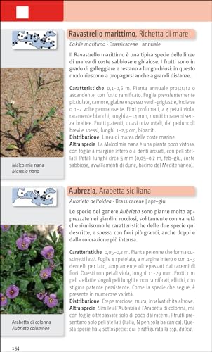 Flora Del Mediterraneo. Ediz. Illustrata - 7