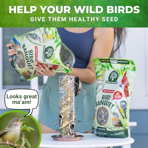 Image of Wild Bird Seed for Outside Feeders, No Filler Sunflower Bird Food, 20 lb | bird seeds for outside wild birds, over 60% sunflower with peanuts and safflower, no fillers, made in USA